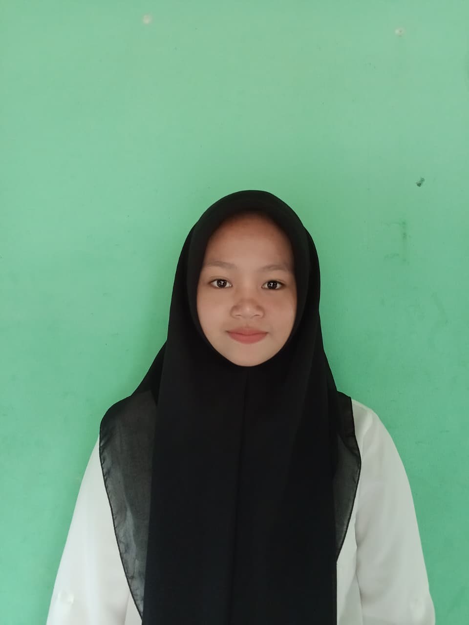 Salsa Rahel Efendi Sinambela (2510090811070)                  Mahasiswa Sekolah Tinggi Ilmu Administrasi Lancang Kuning       Program Studi Ilmu Administrasi Negara